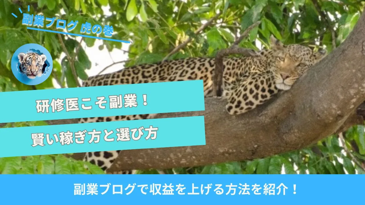 研修医副業ブログ