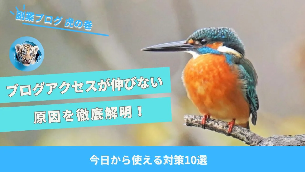 ブログアクセス