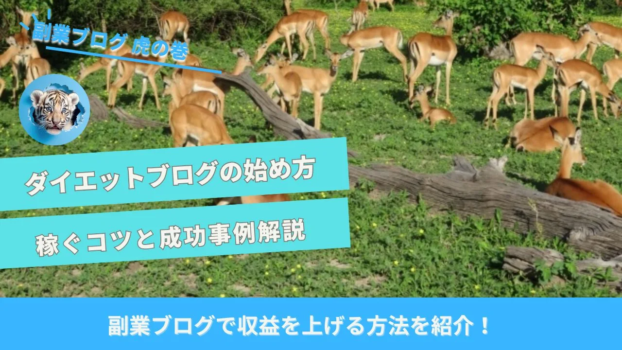 ダイエットブログ