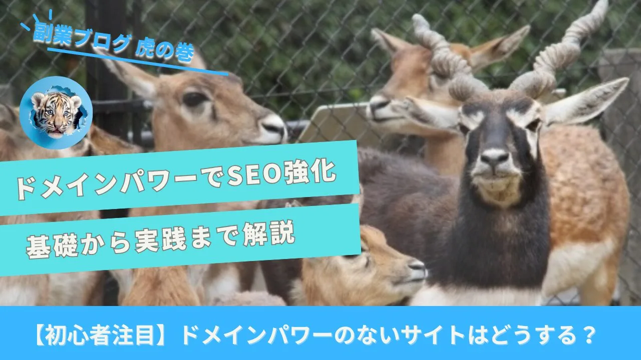 ドメインパワーでSEO