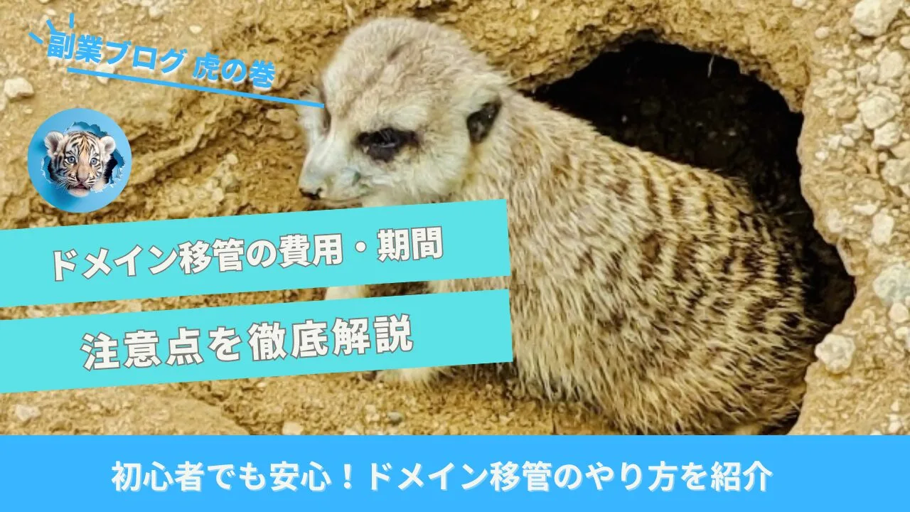 ドメイン移管のやり方