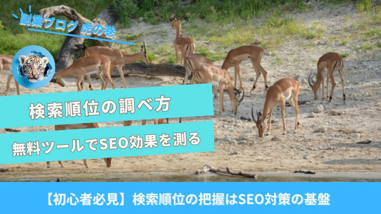 検索順位の調べ方