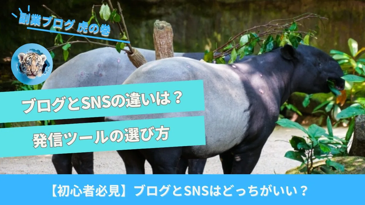 ブログかSNSか